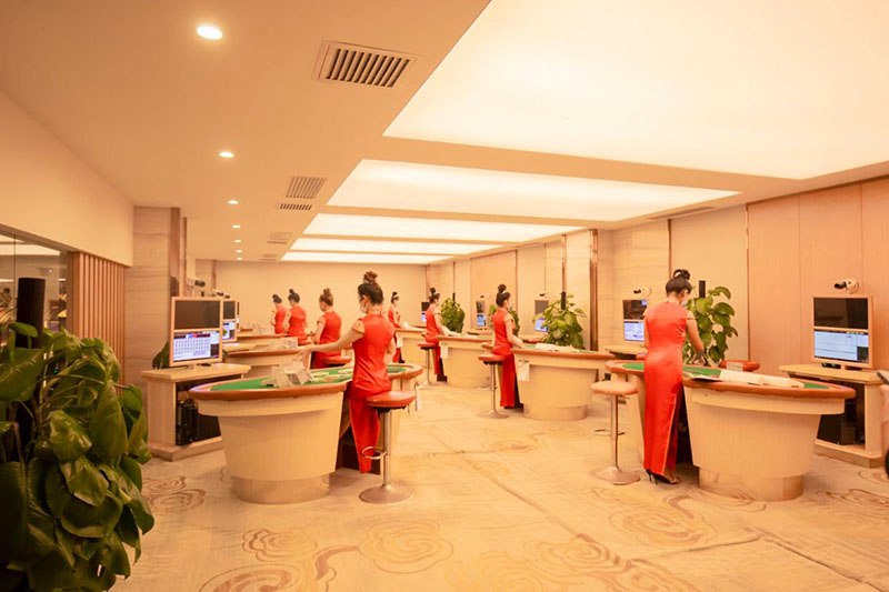案例展示六